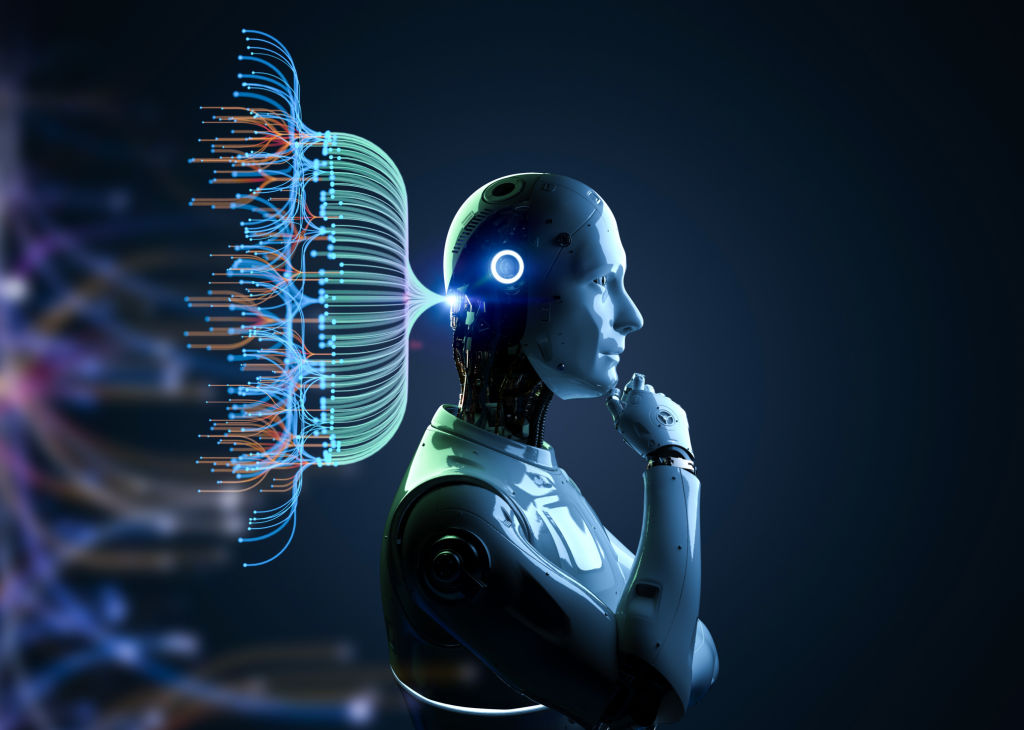 Machine Learning Models: A Plain-Language Guide to How AI Actually Learns machine learning models